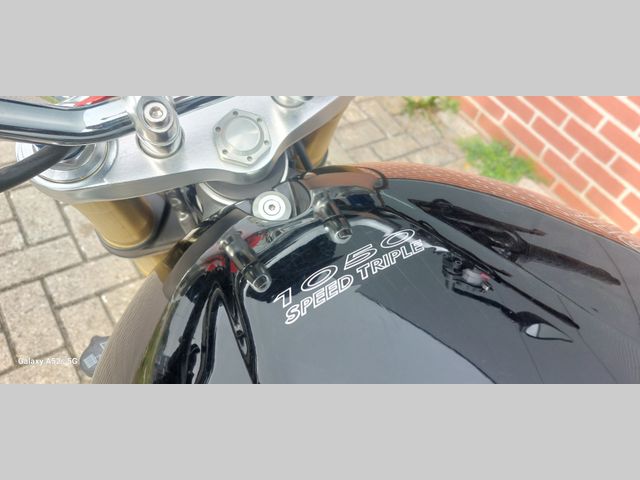 triumph - speed-triple