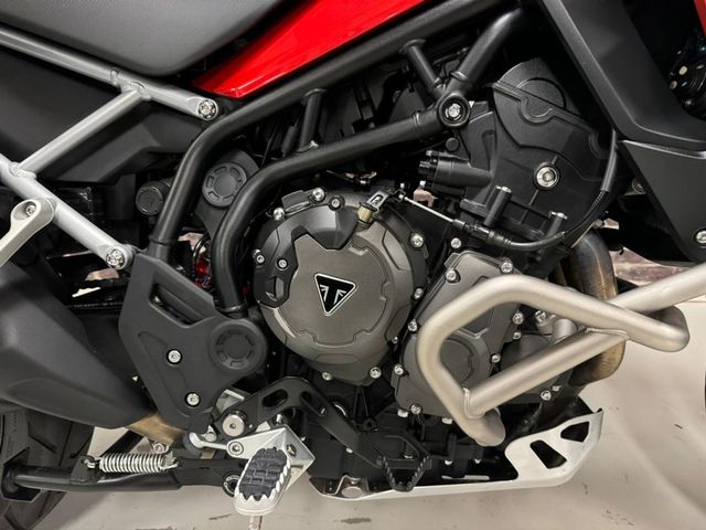 triumph - tiger-900-gt-pro