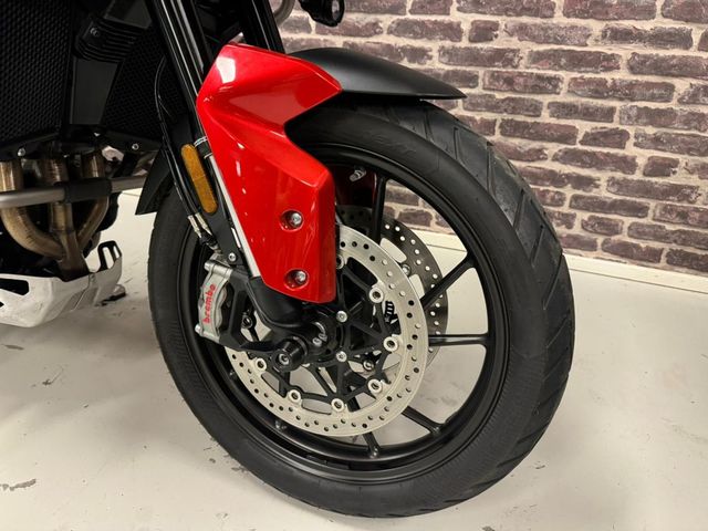 triumph - tiger-900-gt-pro