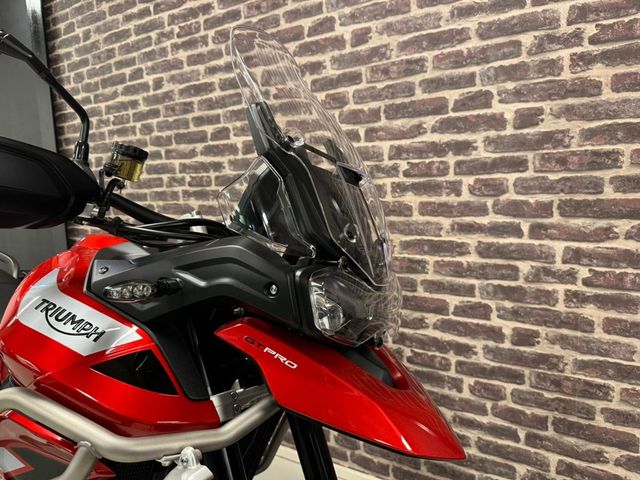 triumph - tiger-900-gt-pro