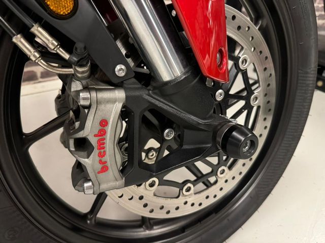 triumph - tiger-900-gt-pro