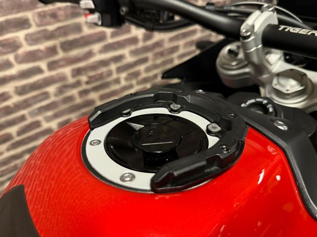 triumph - tiger-900-gt-pro