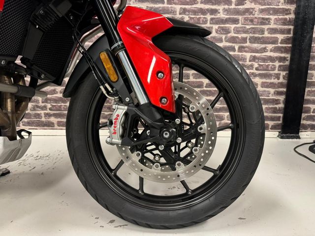 triumph - tiger-900-gt-pro