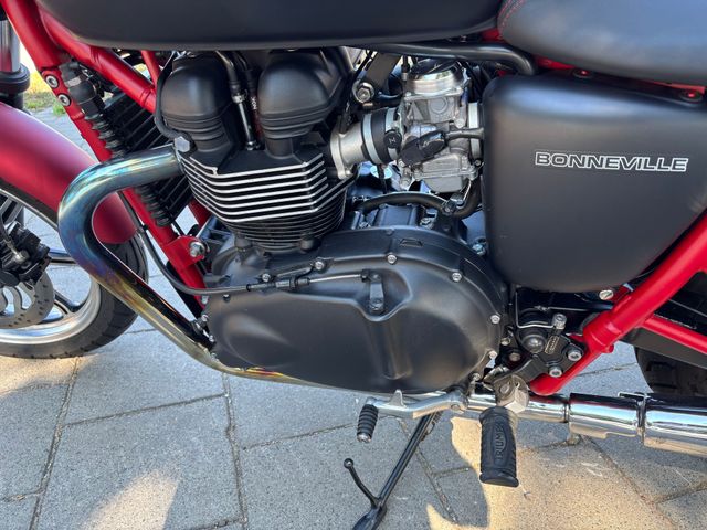 triumph - bonneville-t-100