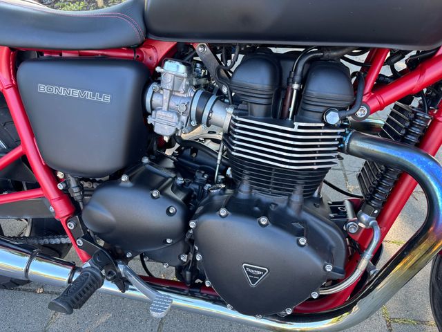 triumph - bonneville-t-100