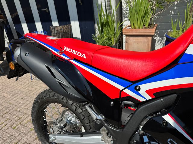 honda - crf-300-rally