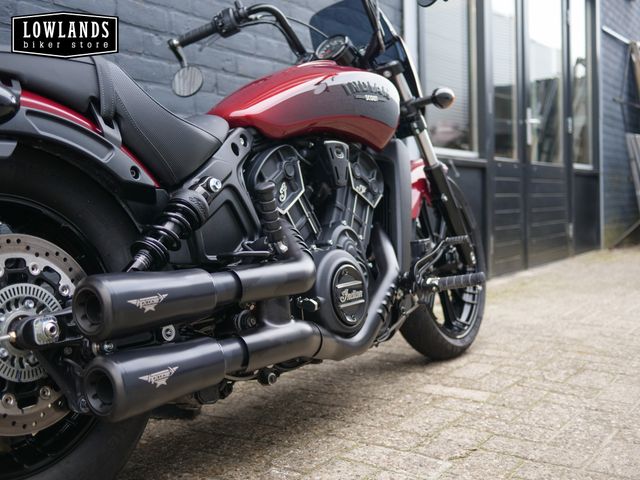 indian - scout-rogue