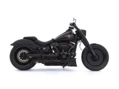 Harley-Davidson Flfbs Softail FAT BOY 30TH Anniversary / Fatboy 2020 occasion – foto 2 van 20