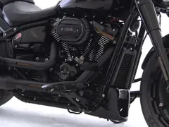 Harley-Davidson Flfbs Softail FAT BOY 30TH Anniversary / Fatboy 2020 occasion – foto 6 van 20