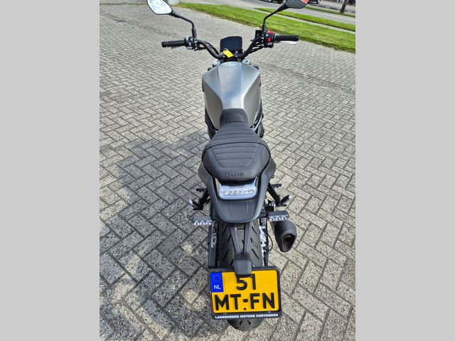 benelli - leoncino-800