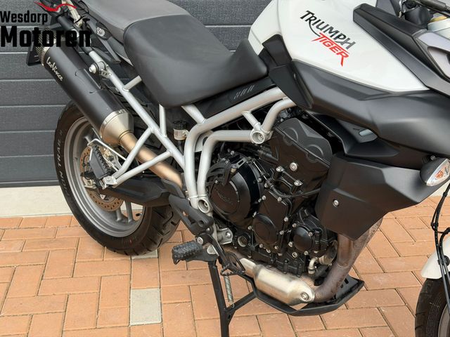 triumph - tiger-800-abs