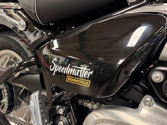 triumph - bonneville-speedmaster