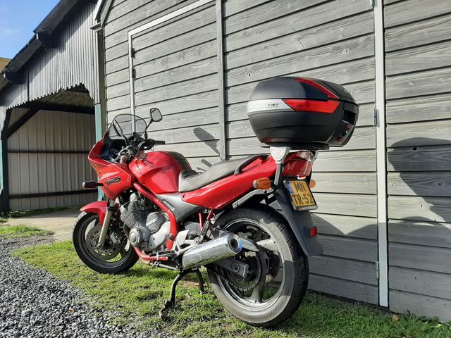 yamaha - xj-600-s---diversion
