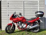 YAMAHA XJ 600 S / DIVERSION