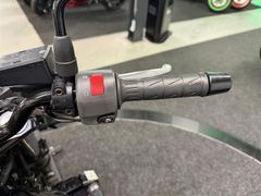 Kawasaki Z 750 2004 occasion – foto 22 van 24