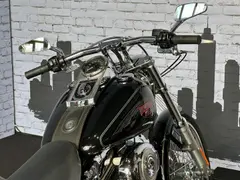 Harley-Davidson Fxstc Softail Custom 2009 occasion – foto 4 van 13