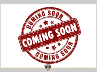 Harley-Davidson Road Glide Special 114 2023 occasion
