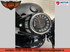 Harley-Davidson Softail Slim FLS 2019 occasion – foto 13 van 26