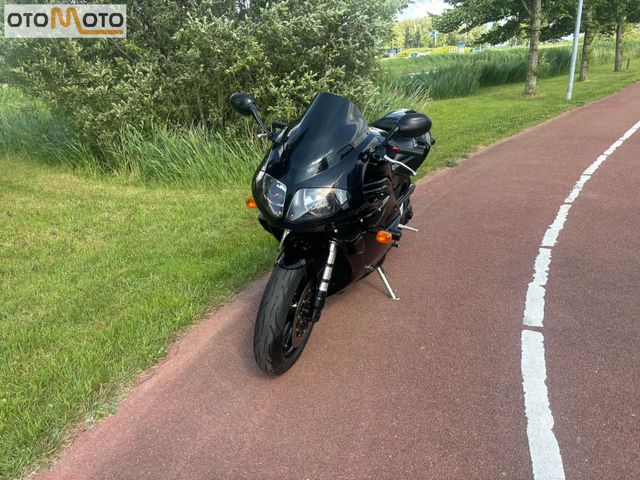 triumph - daytona-955i