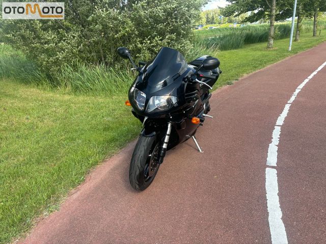 triumph - daytona-955i