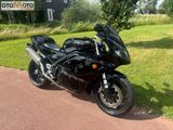 TRIUMPH DAYTONA 955I