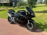 TRIUMPH DAYTONA 955I