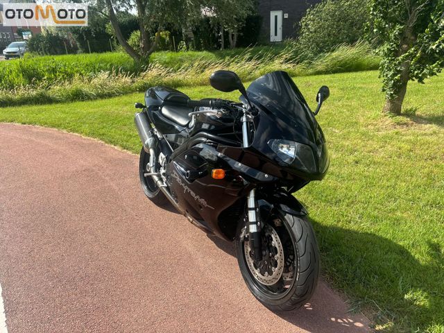 triumph - daytona-955i
