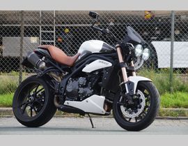 Triumph Speed Triple 2012 occasion