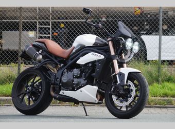Triumph Speed Triple 2012 occasion