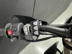 Triumph TF 250 E 2026 nieuw – foto 10 van 11