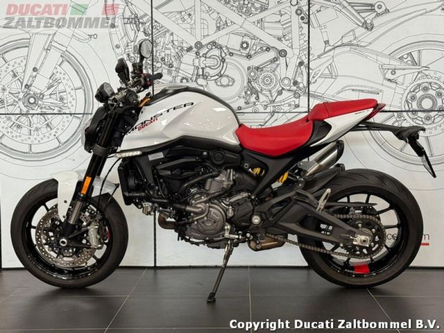 ducati - monster