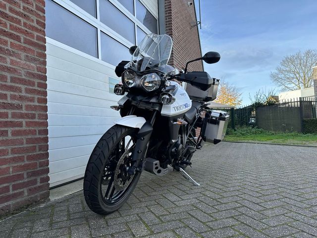 triumph - tiger-800-xrx-low