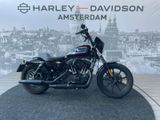 HARLEY-DAVIDSON SPORTSTER IRON 1200 XL 1200 NS