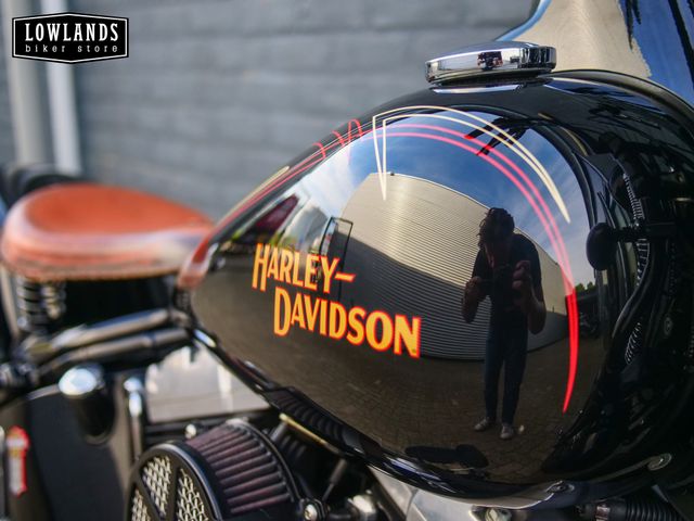 harley-davidson - cross-bones-flstsb