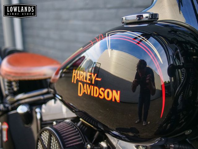 harley-davidson - cross-bones-flstsb