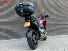 Triumph Tiger 1200 GT PRO 2024 occasion – foto 10 van 23