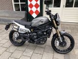 BENELLI LEONCINO 800 TRAIL