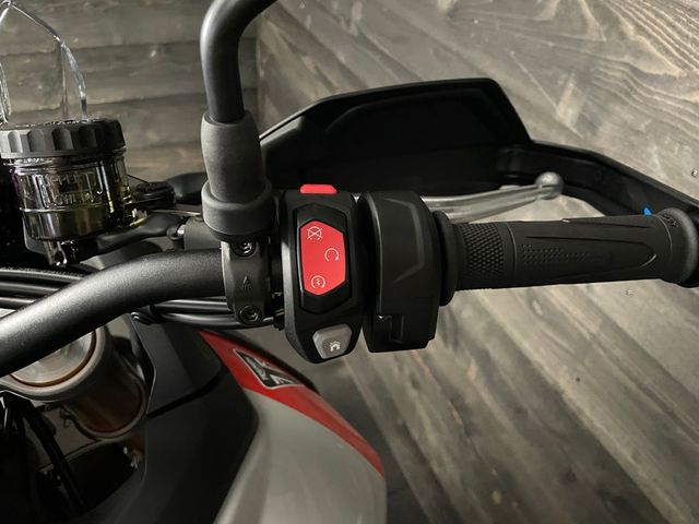 triumph - tiger-900-rally-pro