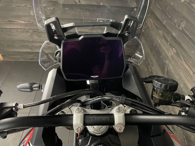 triumph - tiger-900-rally-pro