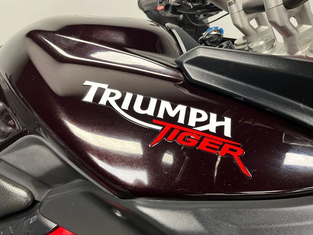 triumph - tiger-800-xc-abs