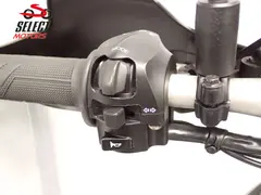 Aprilia Caponord 1200 2014 occasion – foto 11 van 22