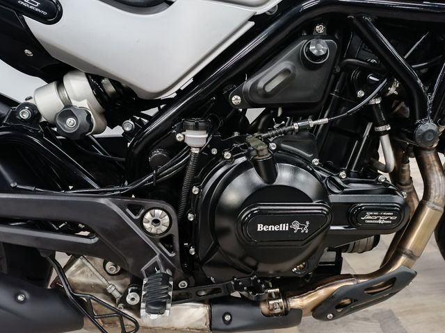 benelli - leoncino-500