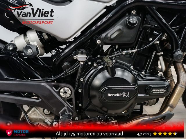 benelli - leoncino-500