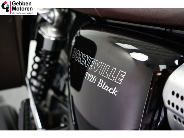 triumph - bonneville--t-120