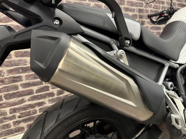 triumph - tiger-900-gt-pro