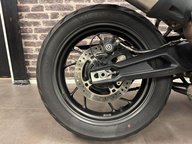 triumph - tiger-900-gt-pro