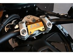 BMW R 1300 GS Aurum Edition 2026 nieuw – foto 13 van 15