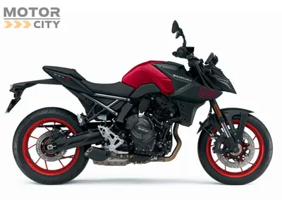 SUZUKI GSX-8S – foto 2