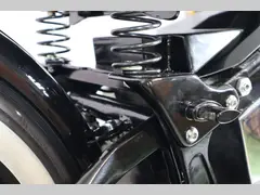 Harley-Davidson FAT BOY Flstf 2001 occasion – foto 6 van 21