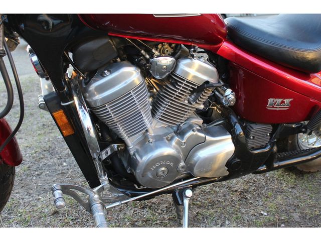 honda - vt-600-c-shadow--vlx-